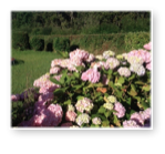 collage image title